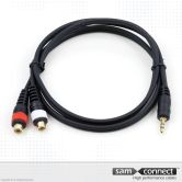 2x RCA a 3.5mm mini Jack cable, 0.3 m, f/m