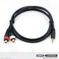 2x RCA a 3.5mm mini Jack cable, 0.3 m, f/m