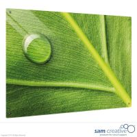Pizarra de Vidrio Serie Hoja Selva 45x60 cm