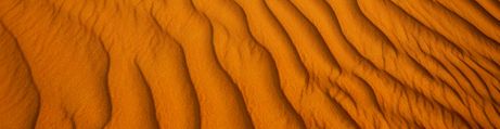 Ambiente Desierto Ambiente Desierto