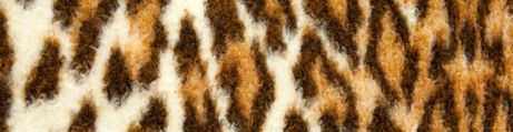 Ambiente Leopardo Ambiente Leopardo